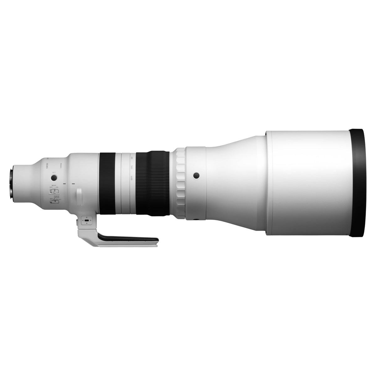 Sigma 300-600mm F4 DG OSS
