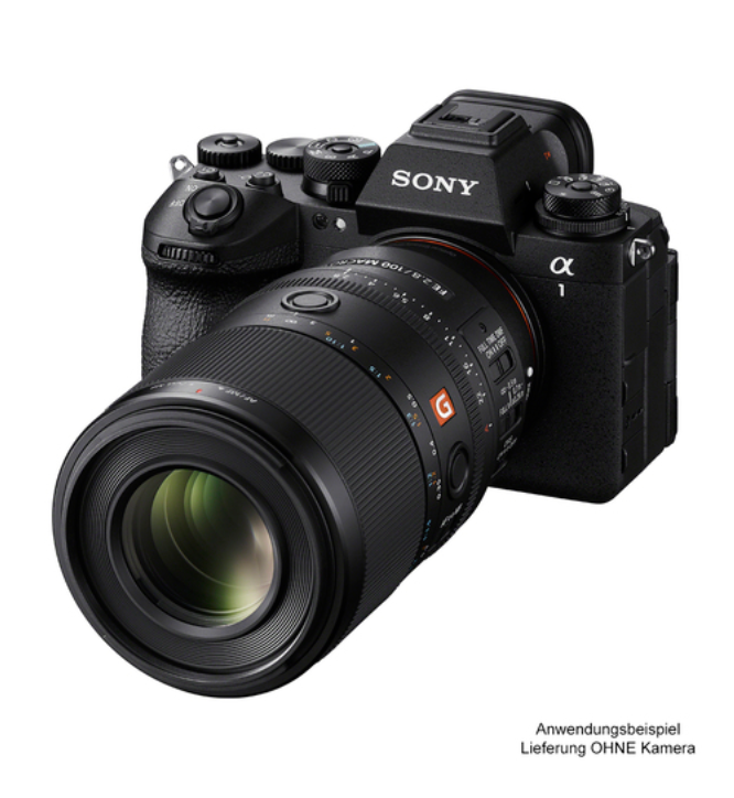 Sony SEL FE 2,8/100 mm GM OSS Objektiv Makro Objektiv